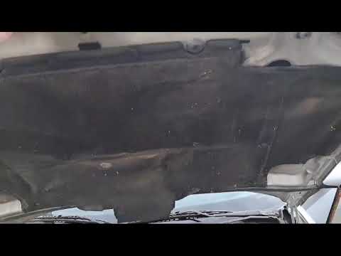 фото датчик распредвала peugeot 406, 2002 г. 0