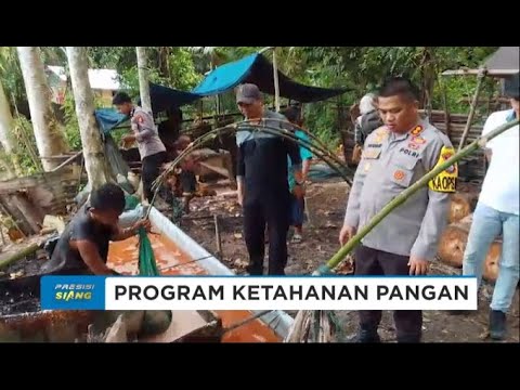 DUKUNG PROGRAM KETAHANAN PANGAN, KAPOLRES KEP SULA SAMBANGI PETANI SAGU