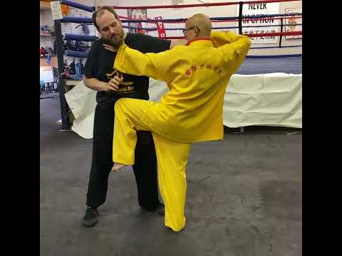 Shaolin Institute Grandmaster Shifu Deru Demonstrates The Block & Kick Technique #Shorts