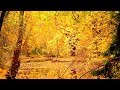 Beautiful Relaxing Music, Peaceful Piano, Flute & Violin  "Autumns Winds" composed by Tim Janis