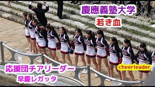 慶應義塾大学  若き血　応援団チアリーダーcheerleader 早稲田大学