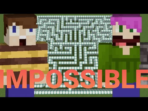 WE ATTEMPTED THE IMPOSSIBLE MAZE