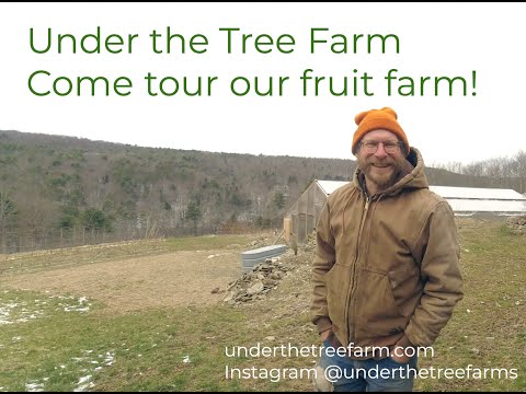 Under the Tree Farm Tour, March 22, 2024