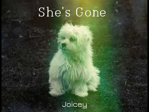 Joicey - She's Gone