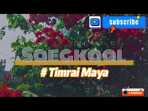 Chhewang Lama X @Ekdev Limbu - Timrai Maya | Saegkaal |