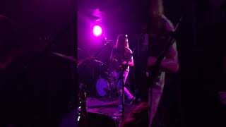 Short clip of Diarrhea Planet - "Kids" (2014)