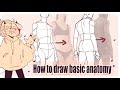 How To Draw Basic Anatomy