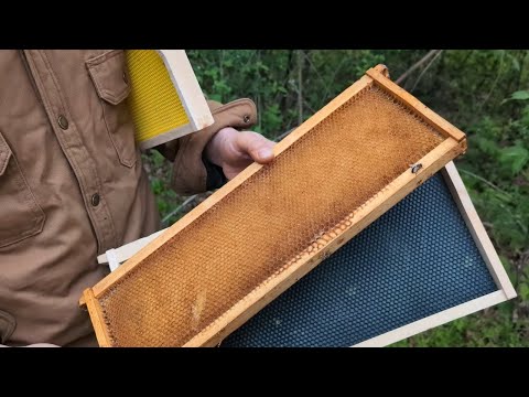 🔵Complete Guide to Making More Comb!