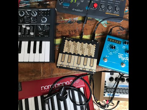 Schlurf [Lauschekammer]