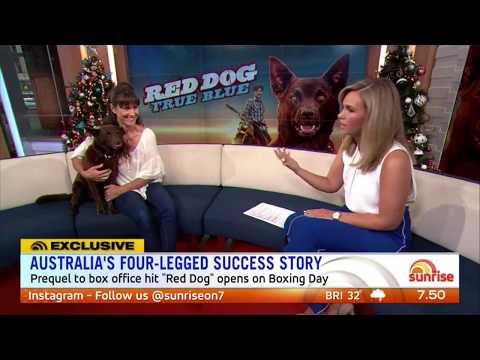 Red Dog: True Blue - Sunrise Interview