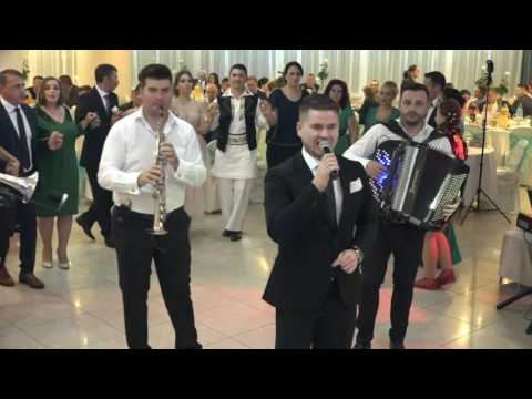 Alex Surdea si Formatia Timisul-Nunta Liana si Alin