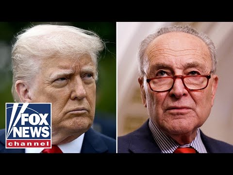 Trump sends scathing message to Schumer as nominees stalled: 'GO TO HELL!'