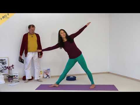 1053 Parivritta Prasarita Padottanasana