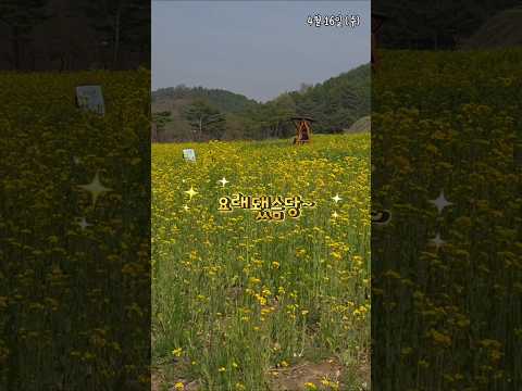 회룡포의 3단 변신 