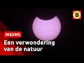 Zo zag de zonsverduistering er écht uit | Omroep Brabant