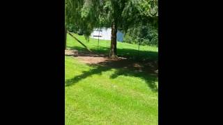 11 acre house part 4