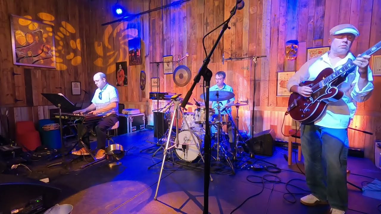 Promotional video thumbnail 1 for Devon Kurzweil Trio