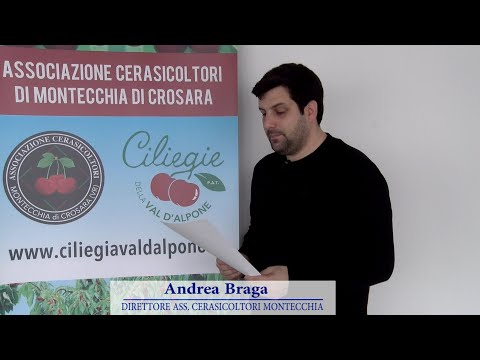 Bollettino cerasicolo 25 marzo 2022