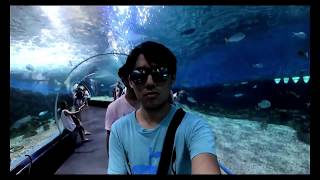 #1【マニラ】ぞね乙の旅1日目