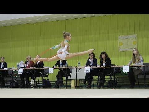 LR VAIKŲ MENINĖS GIMNASTIKOS ČEMPIONATAS (4.3 dalis)