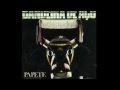 Papete - Boi de Catirina 