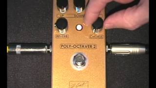 Video thumbnail for ZCAT POLY-OCTAVER 2 by ZCAT Pedals