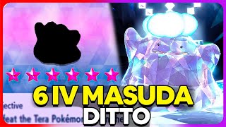 Get 6 IV Masuda Ditto NOW with this Strategy in Pokemon Scarlet & Violet