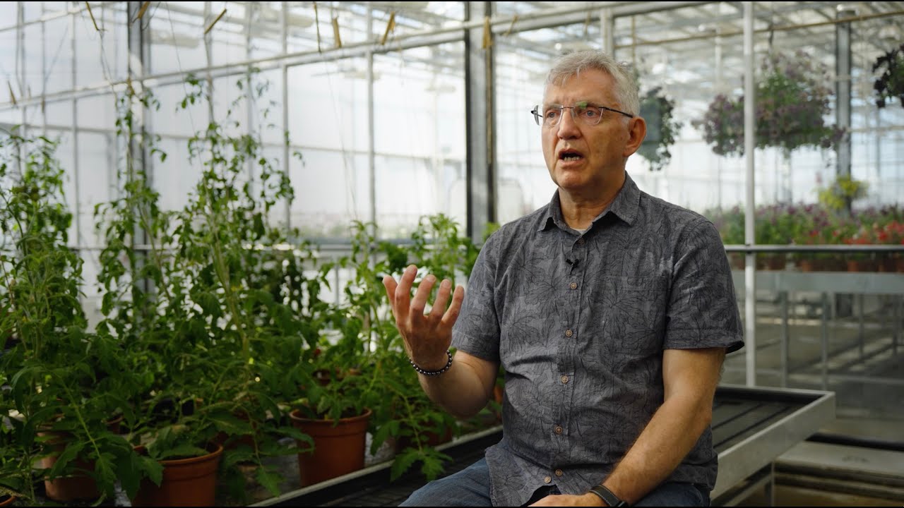 #OrganicDelivers | Teaser #1 to Episode 1 - Innovation in plant protection: Organic breeding