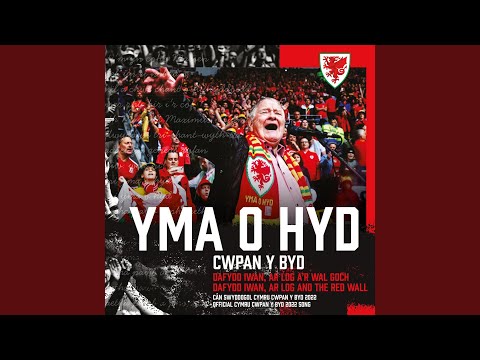 Yma o Hyd Cwpan y Byd
