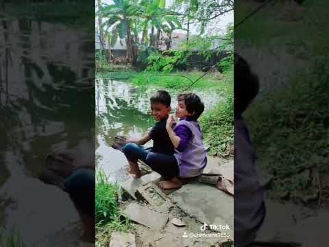 tiktok video#sohani #youtubeshorts