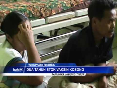 Kacang melawan impotensi Bagaimana untuk memperbesar penis Anda dengan bantuan krim