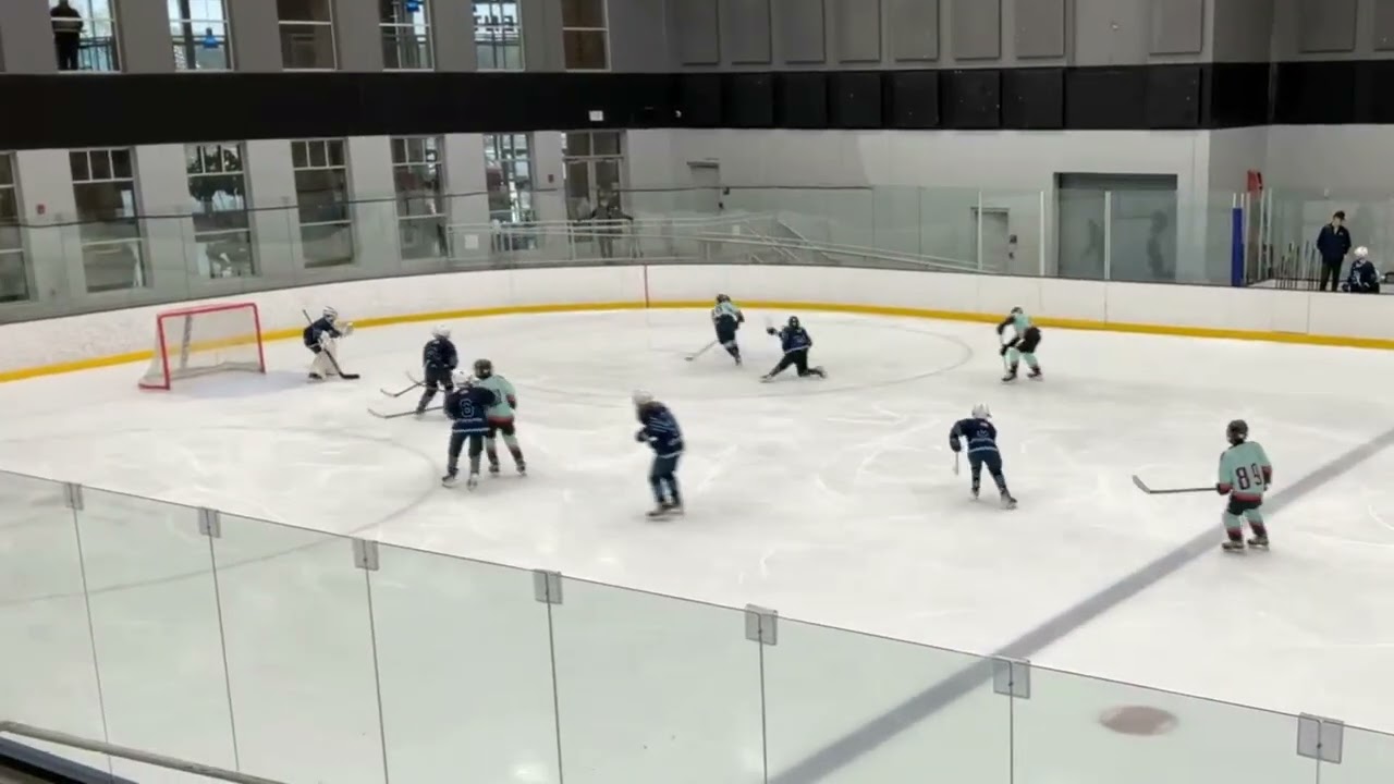 Game 3 (Stars and Stripes): Liam save