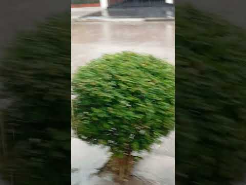 granizo .el carmen jujuy