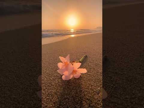 Cox’s Bazar 🌅 #viralshorts #suraiya