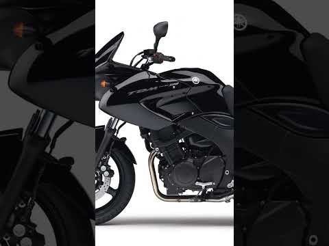 Yamaha TDM 900 - Video 1