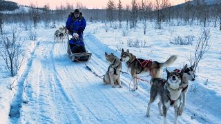 Lapponia: se la conosci la eviti [SUB ENG]