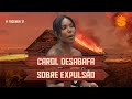 Carol Lekker Comenta Momento Da Expulsão Eu Fui Agressiva Live Do Eliminado