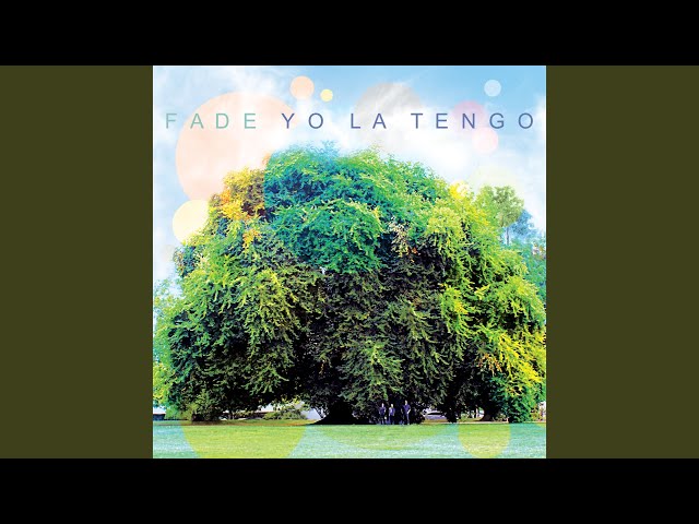 Yo La Tengo: Criticism and Appreciation