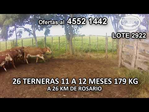 Lote 26 Terneras 13 HE- 13 HE c/ RA 179 Kgkg -  en Media Agua- A 26 Km de Rosario