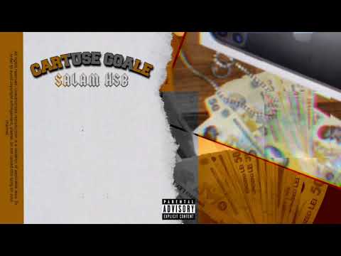 Salam Hsb - CARTUȘE GOALE