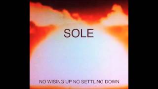 Sole - 303 Ways to Die (ft. ManeRok & Time)