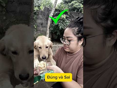 Hành động đúng và hành động sai các bạn đã hành động đúng chưa????