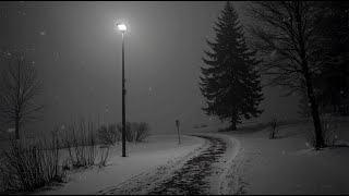 𝐜𝐚𝐥𝐦 𝐰𝐢𝐧𝐭𝐞𝐫.