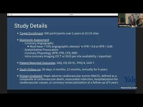 Seeing the Invisible: Ischemia and No Obstructive Coronary Artery Disease