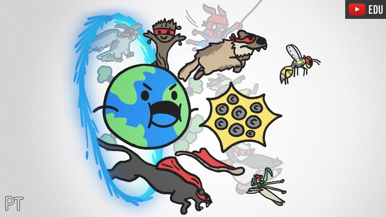 A Ecologia dos Super-Heróis | Minuto da Terra