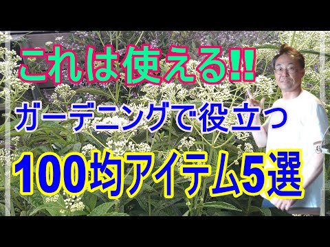 園芸 ガーデニングに欠かせない5つの道具