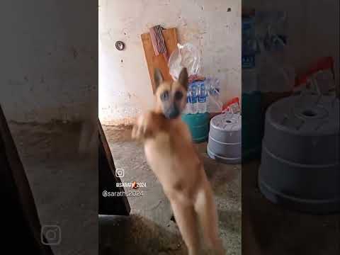 🤣🤣🤣🤣🤣##