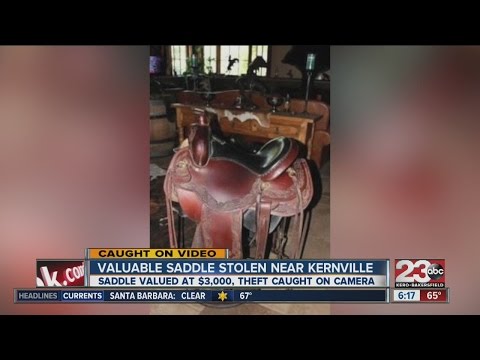 Valuable saddle stolen near Kernville