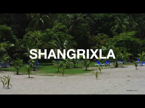 NO1 | NOAH - We Them (Remix) (feat. BEKIM)