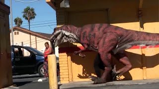 Funniest Top Dinosaur Prank - Reaction Video